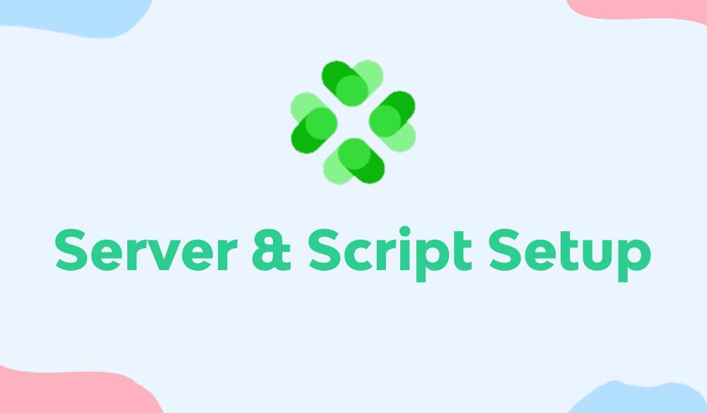 Server & Script Setup Service